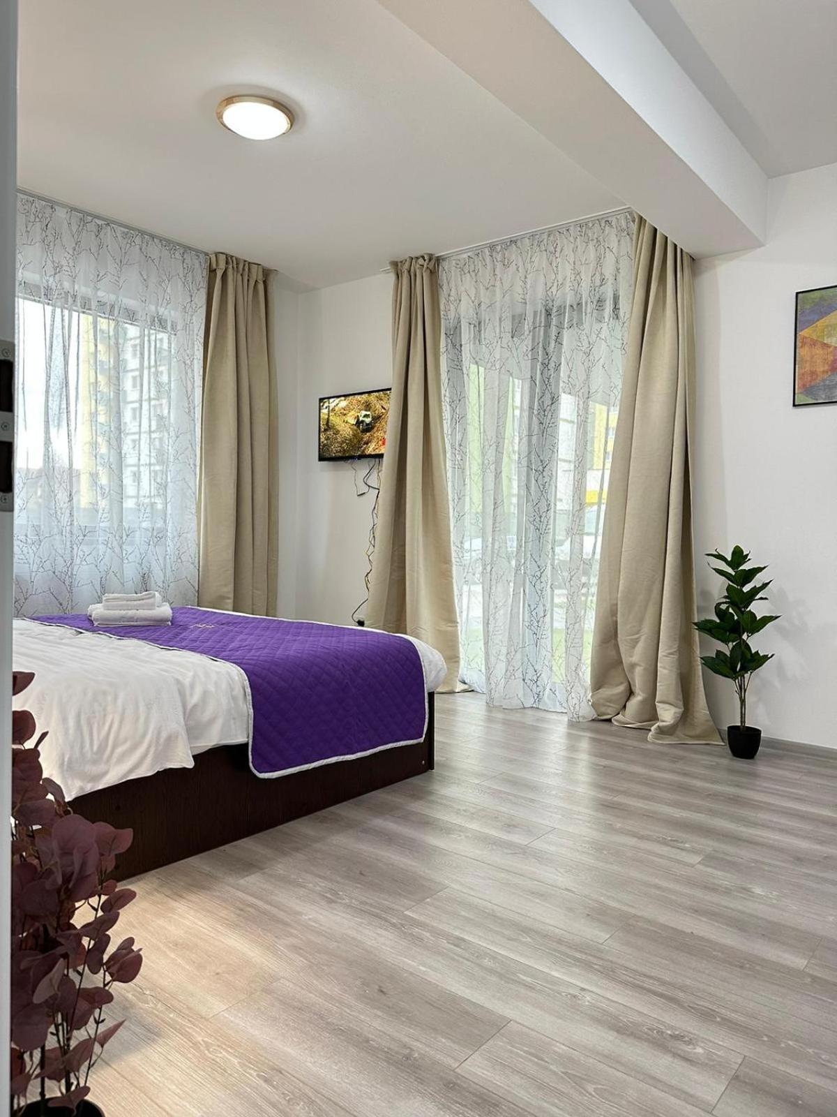 Luxury Near Coresi Mall By Glam 公寓